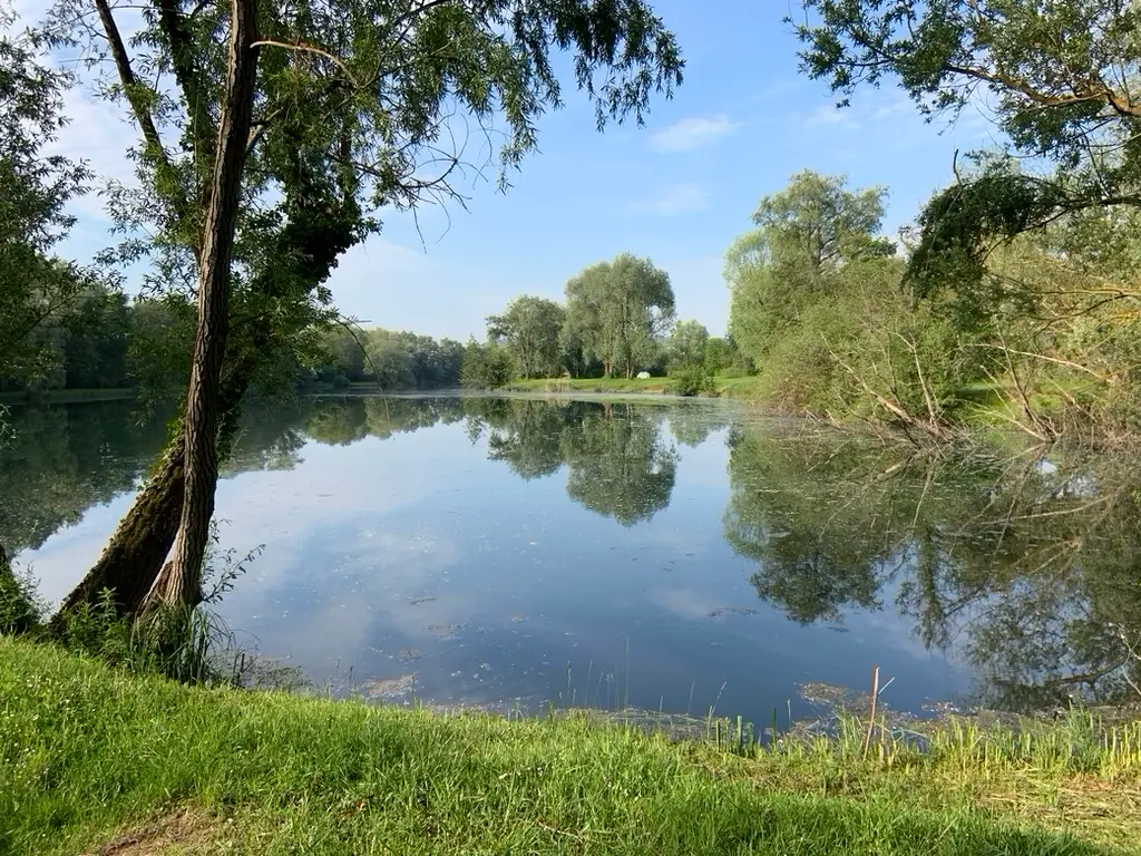 Etang communal de pont-sur-yonne